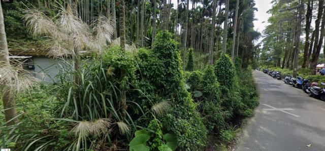 台中東勢徵收地法拍-4