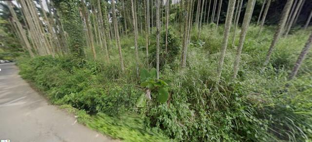 台中東勢徵收地法拍-8