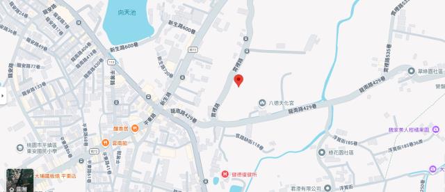 桃園八德法拍農地-4