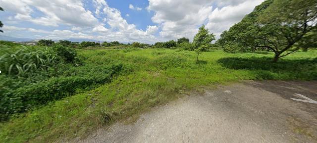 平鎮農地法拍-3