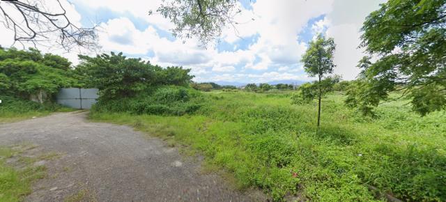 平鎮農地法拍-4