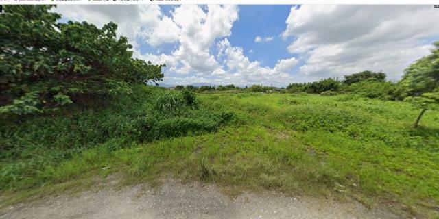 平鎮農地法拍-7