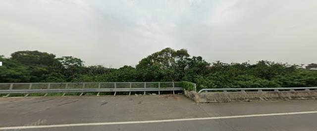 桃園林地拍賣-3