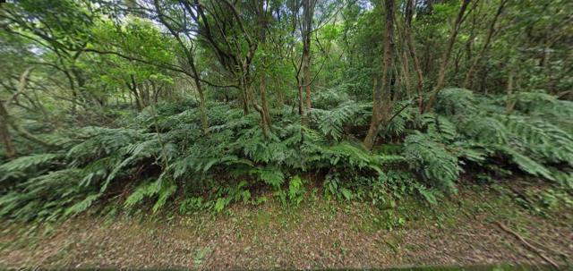 基隆七堵農地法拍-0