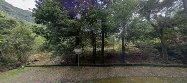 七堵法拍農地-8