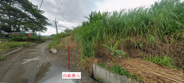 玉里法拍農地-0