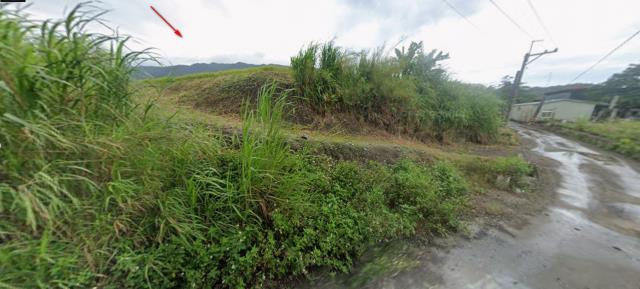 玉里法拍農地-3