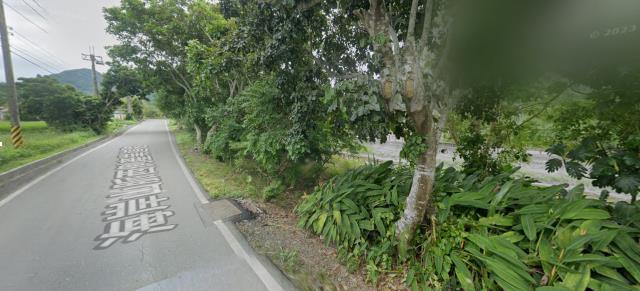 光復法拍農地-4