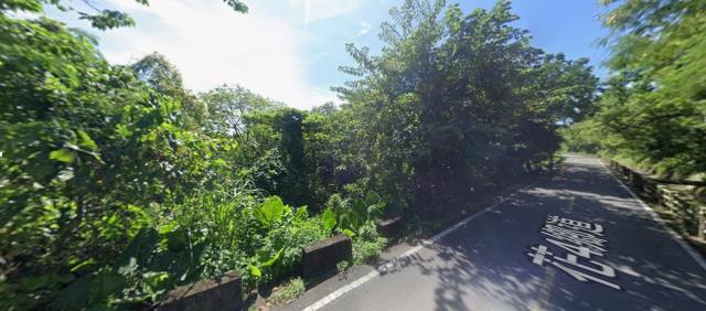 花蓮秀林農地法拍-3