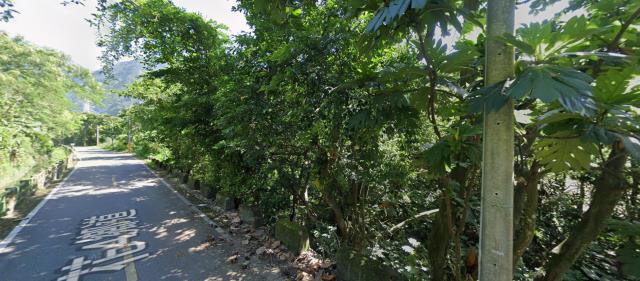 花蓮秀林農地法拍-4