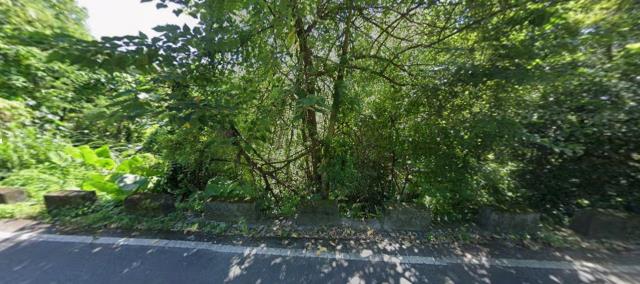 花蓮秀林農地法拍-8