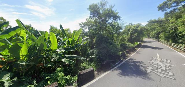 秀林法拍農地-11