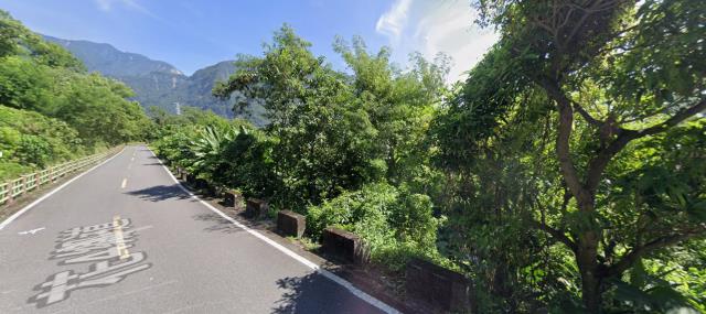 秀林法拍農地-12