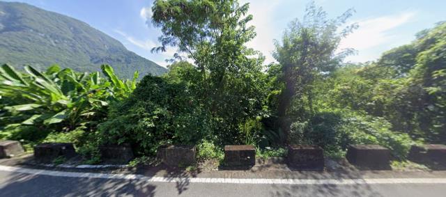 秀林法拍農地-7