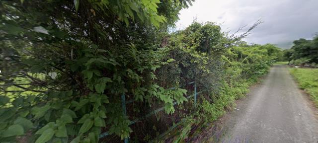 秀林農地法拍-11