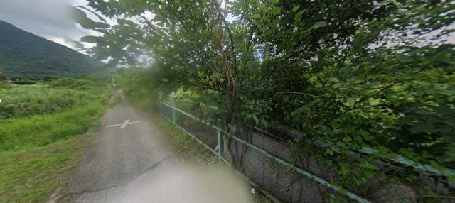 秀林農地法拍-4