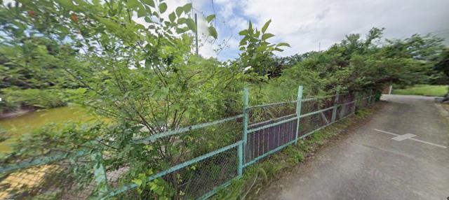 秀林法拍農地-0