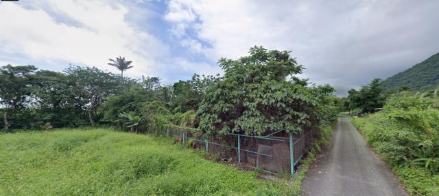 秀林法拍農地-3