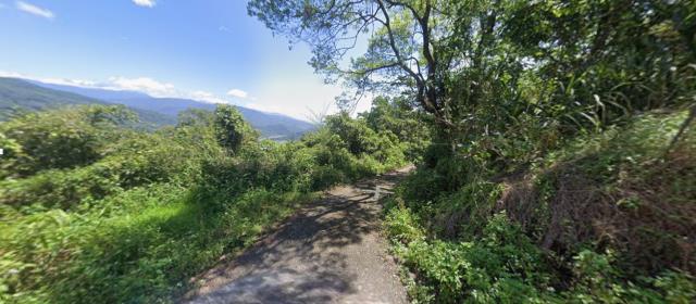 花蓮法拍農地-11