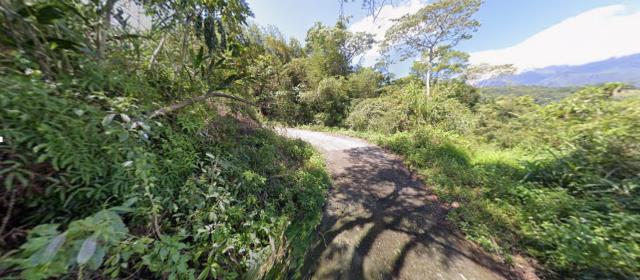 花蓮法拍農地-12