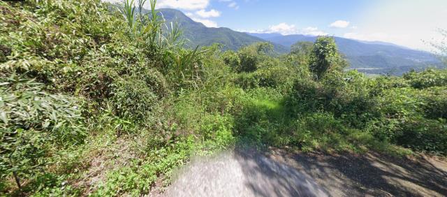 花蓮法拍農地-0