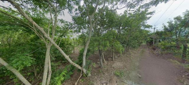 花蓮富里法拍農地-12