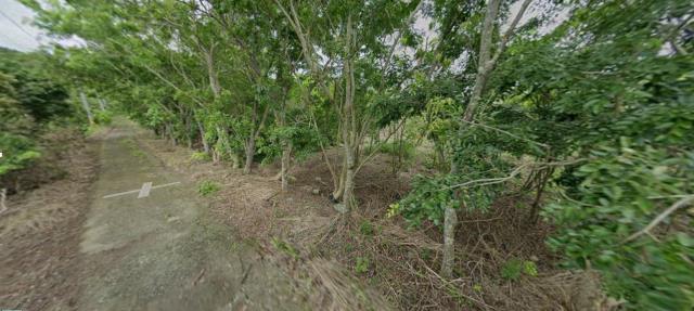 花蓮富里法拍農地-3