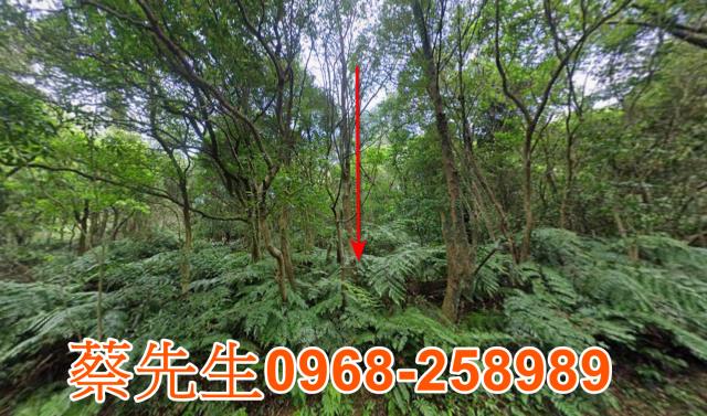 基隆七堵農地法拍-0