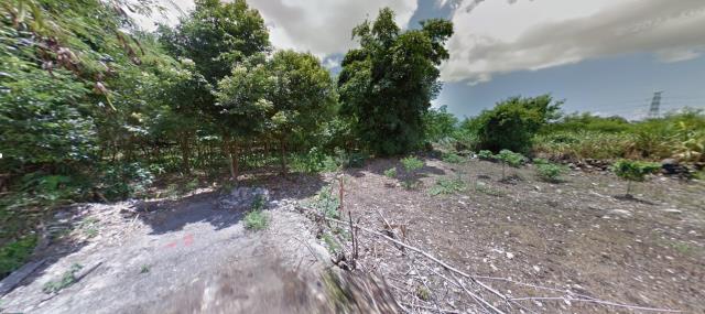 花蓮農地法拍-3