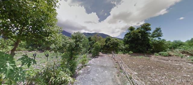 花蓮農地法拍-4