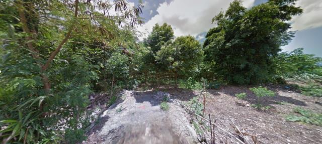 花蓮農地法拍-7