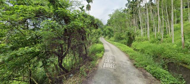 花蓮萬榮農地法拍-12