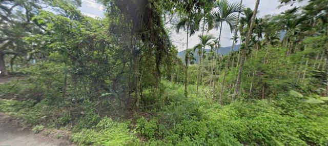 花蓮萬榮農地法拍-0