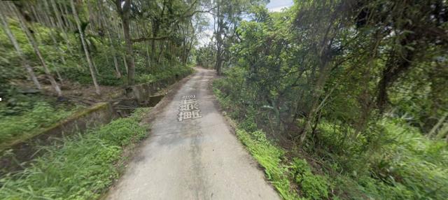 花蓮萬榮農地法拍-3