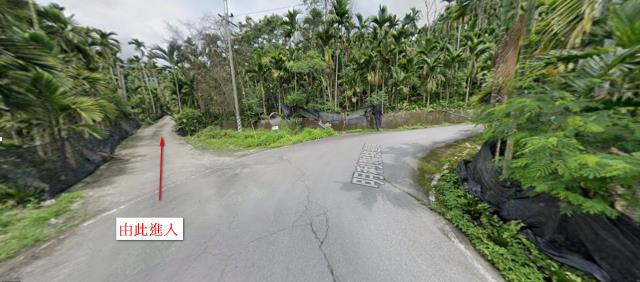 花蓮萬榮法拍山坡地-11