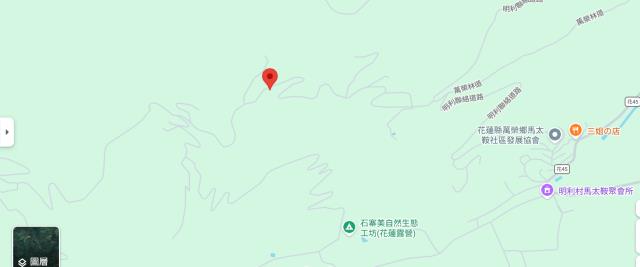 花蓮萬榮法拍山坡地-13