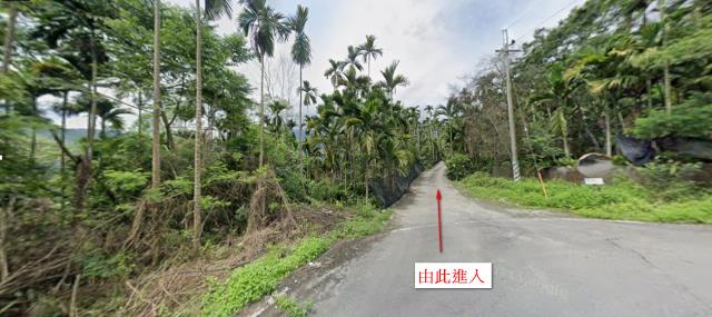 花蓮萬榮法拍山坡地-8