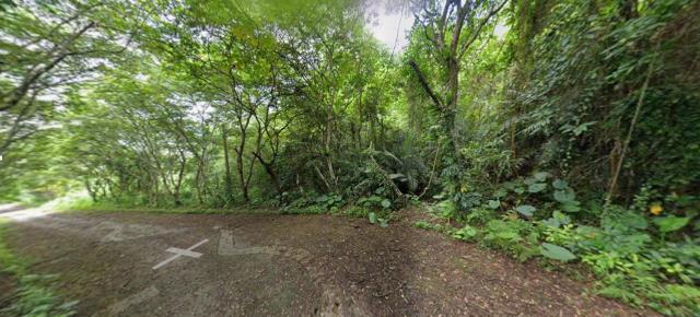 花蓮鳳林法拍山坡地-12