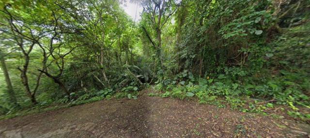 花蓮鳳林法拍山坡地-0