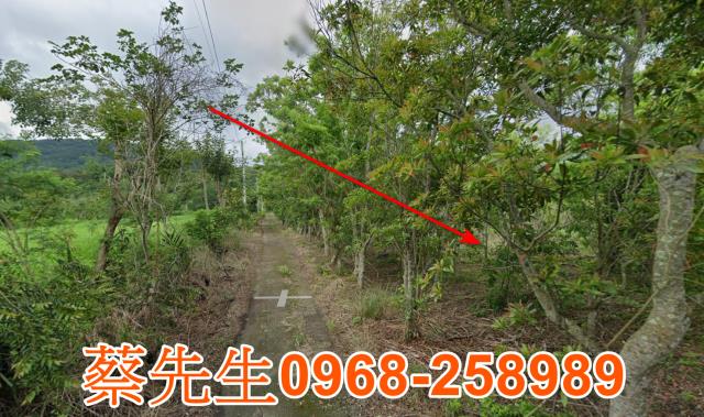 花蓮富里農地法拍-13