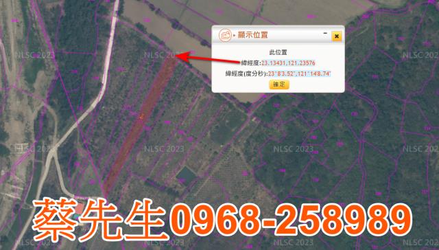 花蓮富里農地法拍-2