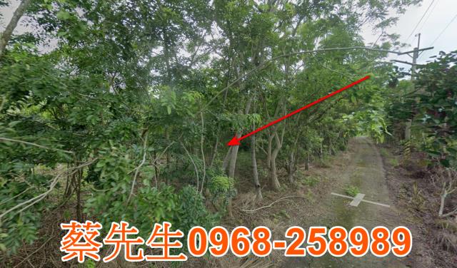 花蓮富里農地法拍-3