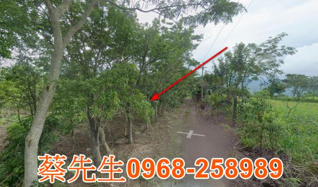 花蓮富里農地法拍-4