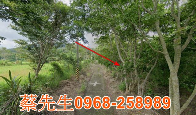 花蓮富里農地法拍-6