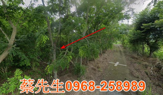 花蓮富里農地法拍-11