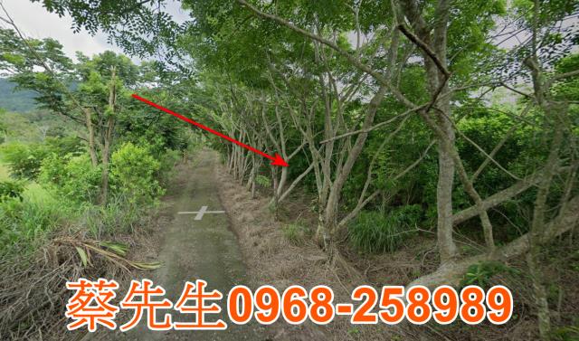 花蓮富里農地法拍-14