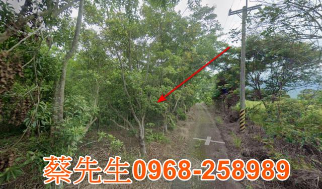 花蓮富里農地法拍-4