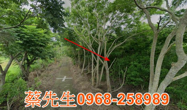 花蓮富里農地法拍-5