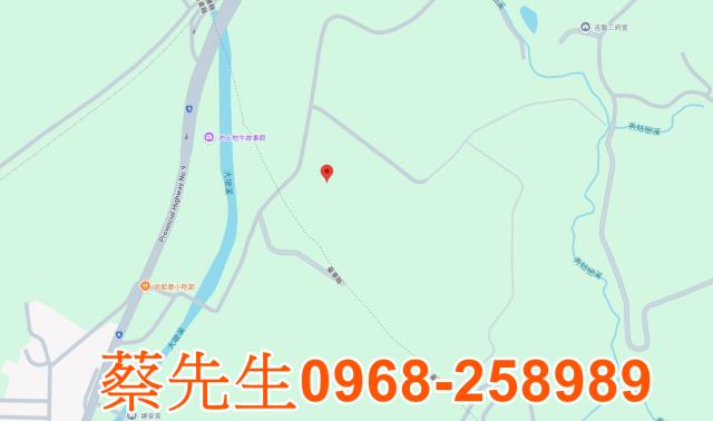 花蓮富里農地法拍-7