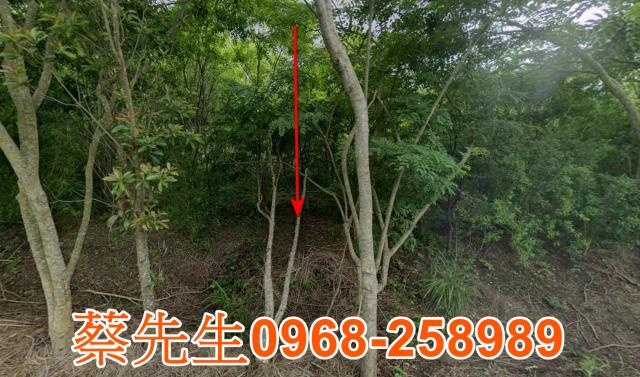 花蓮富里農地法拍-8